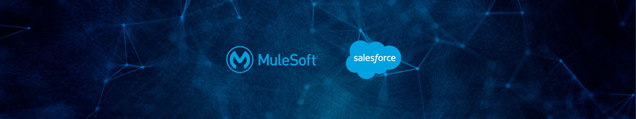 salesforcemule